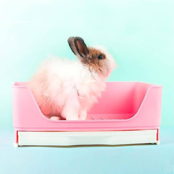 Rabbit litter box FlopBunny 3