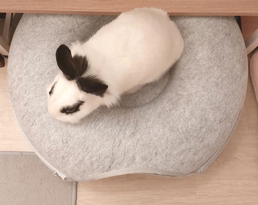 rabbit hideout