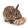 Rabbit carrot toy FlopBunny 7
