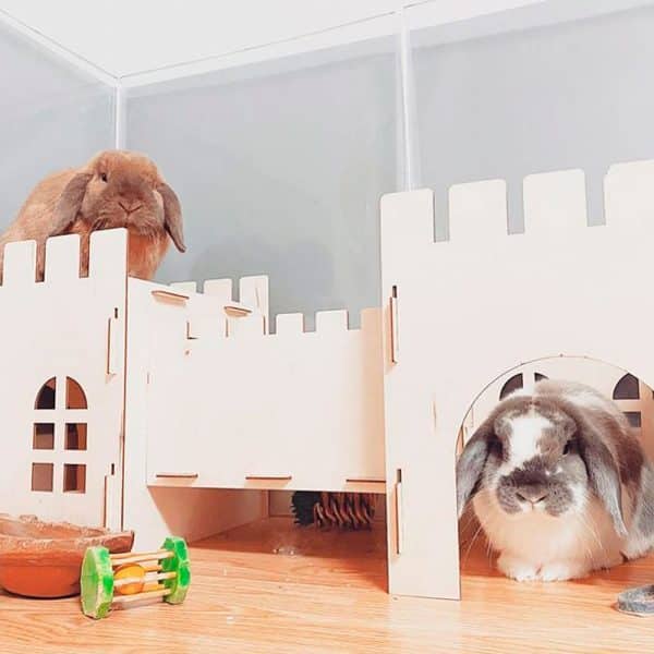 Bunny Castle FlopBunny 8