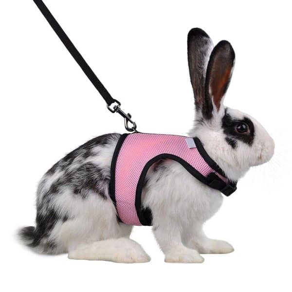 Rabbit harness FlopBunny 8