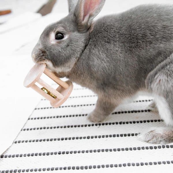 Wood toy for rabbit FlopBunny 3