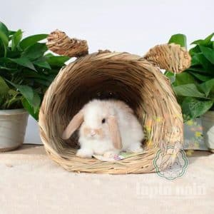 Straw rabbit house FlopBunny