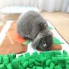 Rabbit foraging mat FlopBunny 7