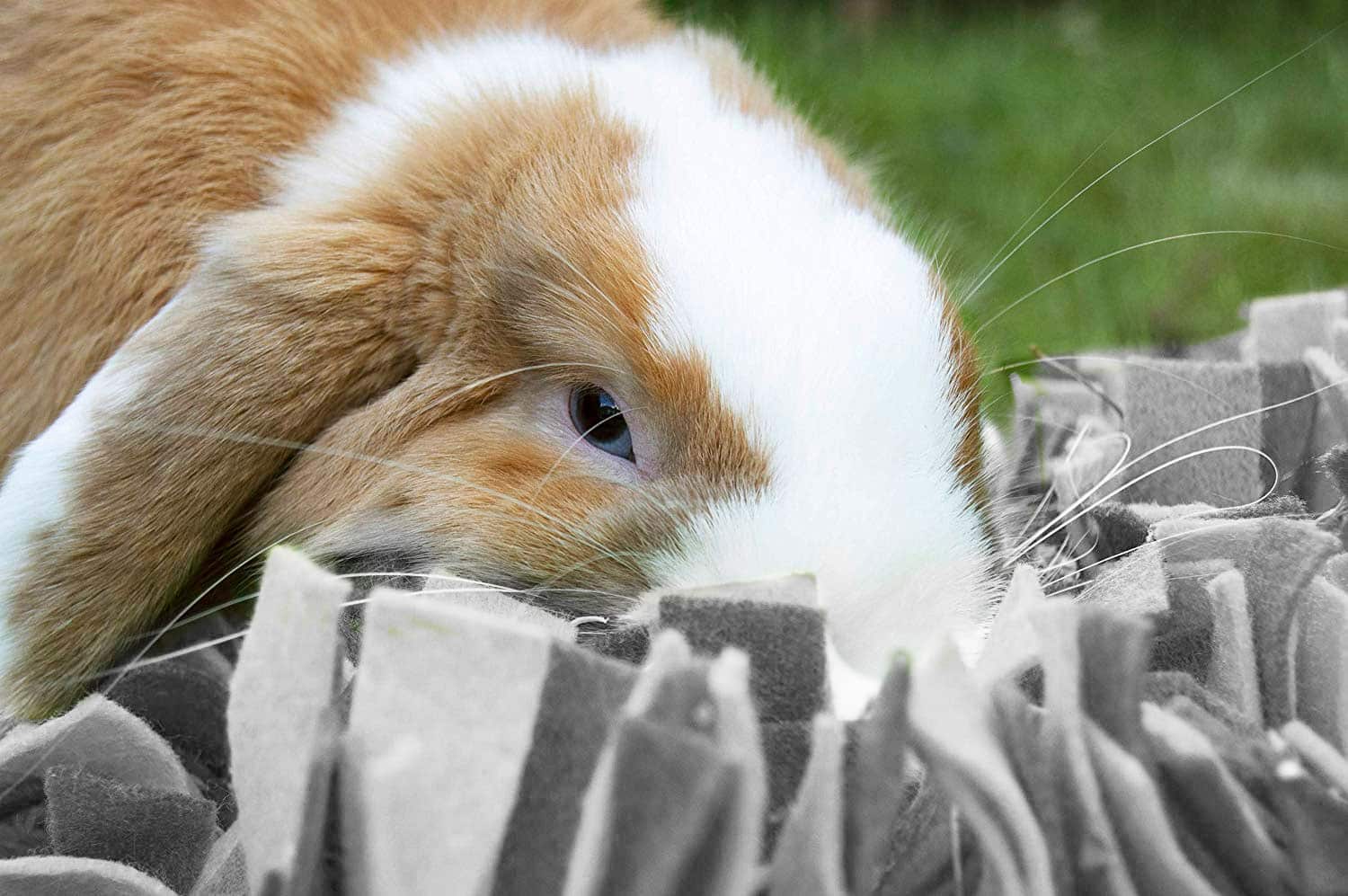 Foraging mat for rabbits Rabbit snuffle mat