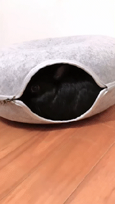 Round rabbit hideout