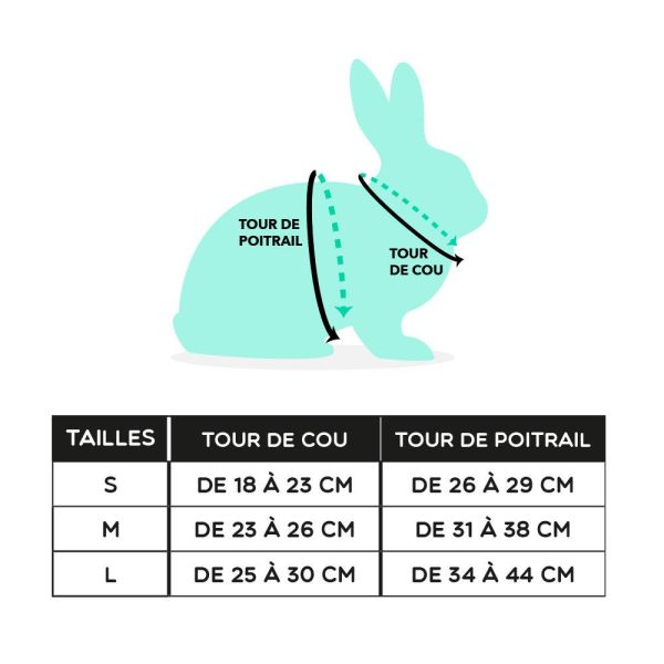 Harness for Rabbit | Gentleman FlopBunny 7