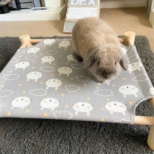 bunny hammock