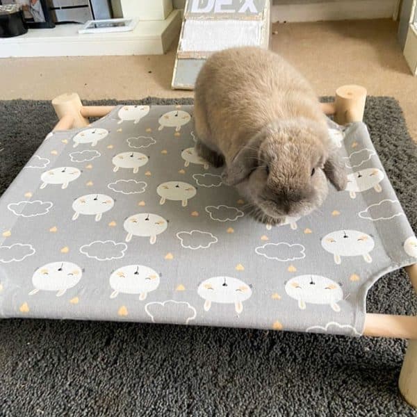 Bed for rabbit FlopBunny 5