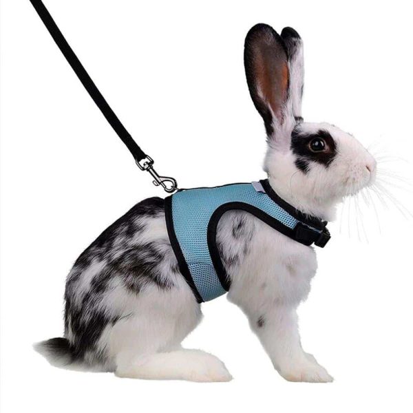 Rabbit harness FlopBunny 15