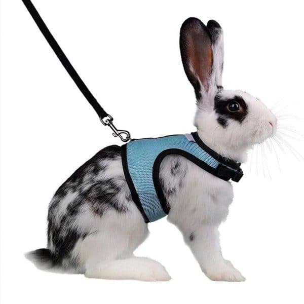 Rabbit harness FlopBunny 9