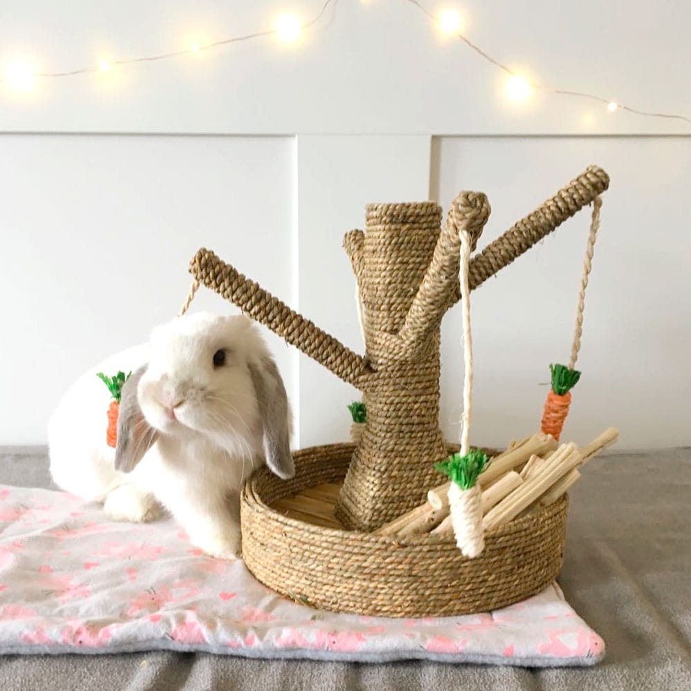 Toy for rabbit - Carrot tree