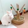 Toy for rabbit – Carrot tree FlopBunny 14