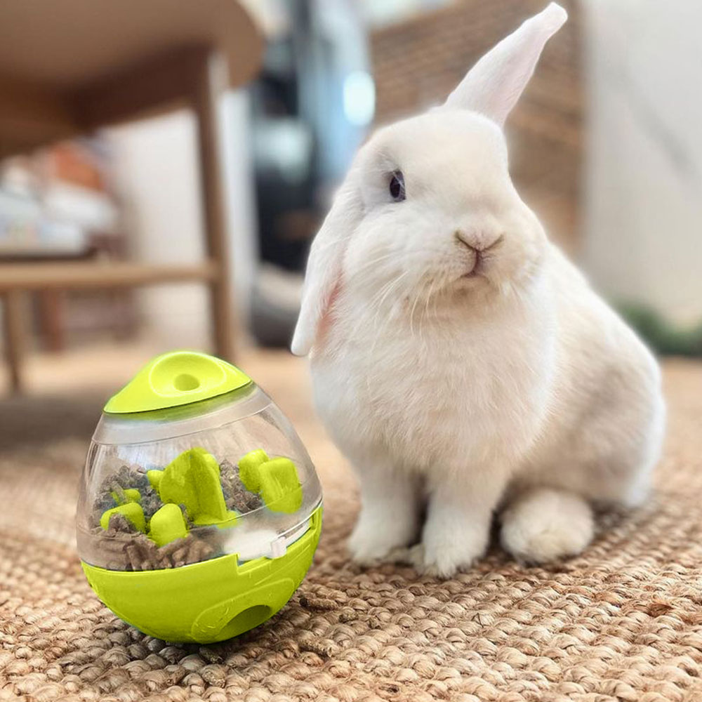 Rabbit Treat puzzle - Toy for rabbit - Rabbit Supply - Flop Bunny