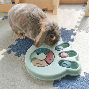 toy for bunny