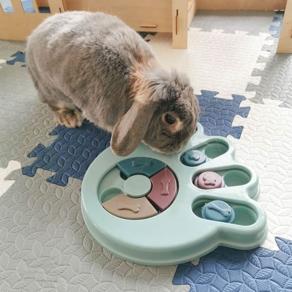 Logic toys for rabbits FlopBunny 3