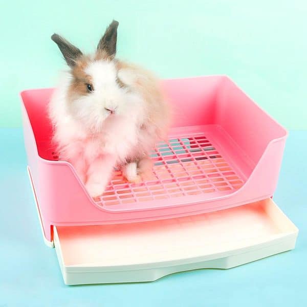 Rabbit litter box FlopBunny 7