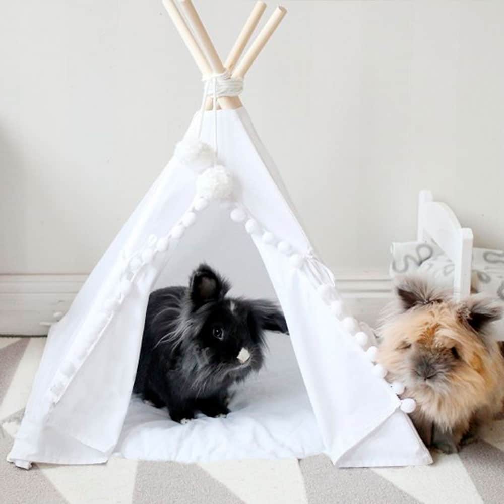 TIPI POUR LAPIN NAIN BELIER