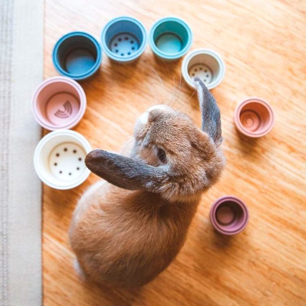 Toy for bunny Stacking cups FlopBunny 3