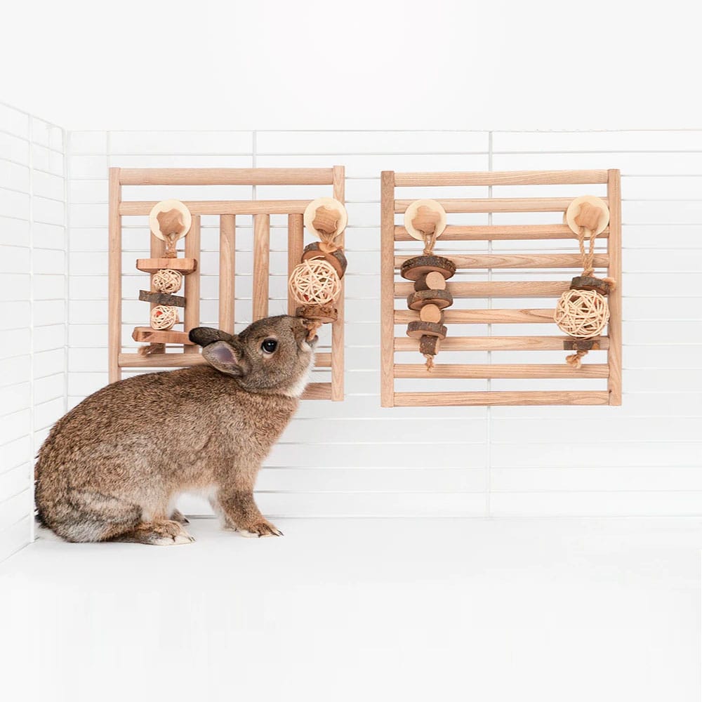 Wooden toys for rabbits