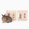 Wooden toys for rabbits FlopBunny 11