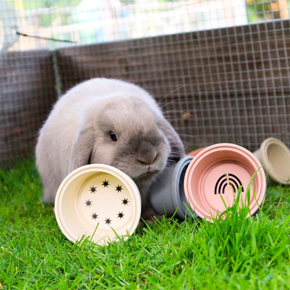Toy for bunny Stacking cups