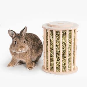 Rabbit hay feeder rack