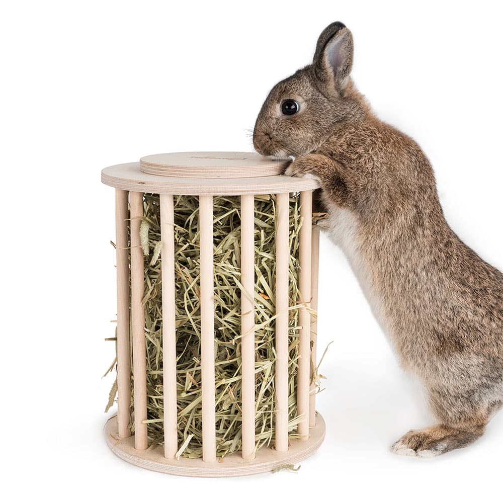 Rabbit hay feeder the best