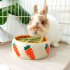 Bunny bowl FlopBunny 9