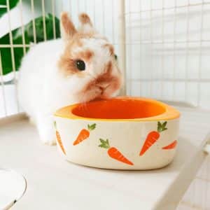 bunny bowl ceramic