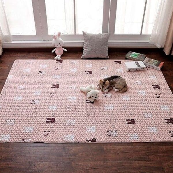 rug for rabbit pink