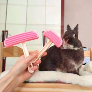 Bunny brush for grooming