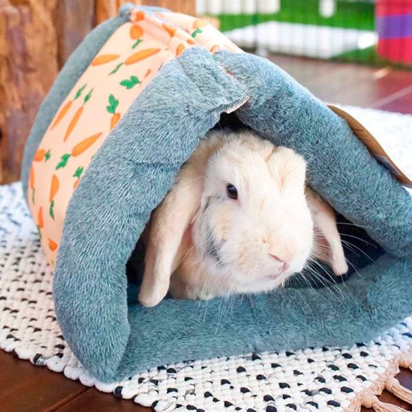 Bunny hideout with carrot design FlopBunny 3