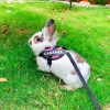Rabbit harness customizable