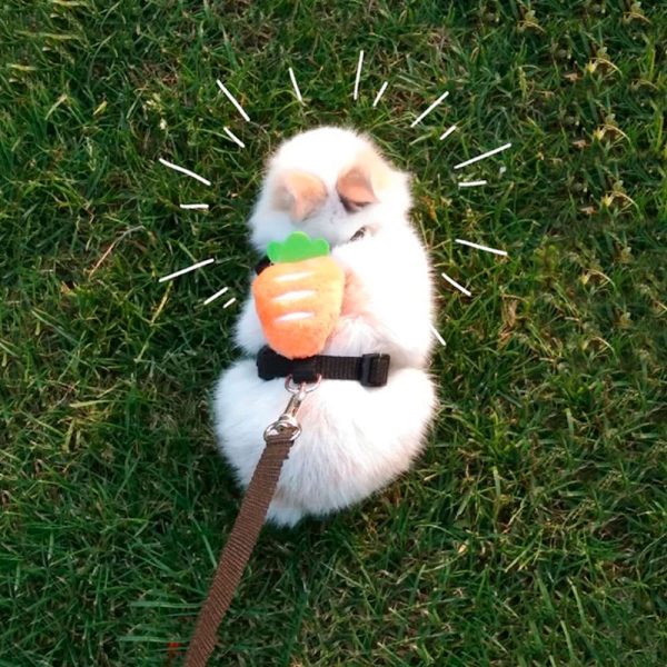 Carrot rabbit harness FlopBunny 3