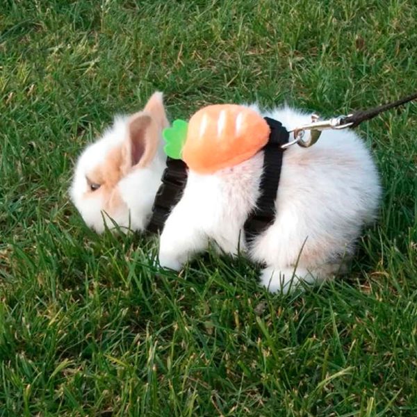 Carrot rabbit harness FlopBunny 7