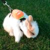 Carrot rabbit harness FlopBunny 13