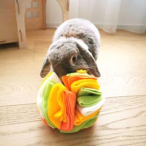 Toy for bunny exercise ball