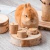 Toy for rabbits in wood