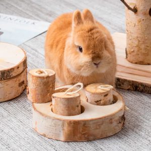 Toy for rabbits in wood FlopBunny