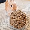 Rabbit chew ball FlopBunny 13