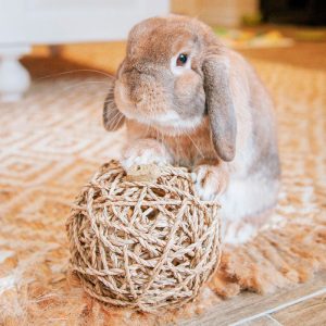 Rabbit chew ball FlopBunny