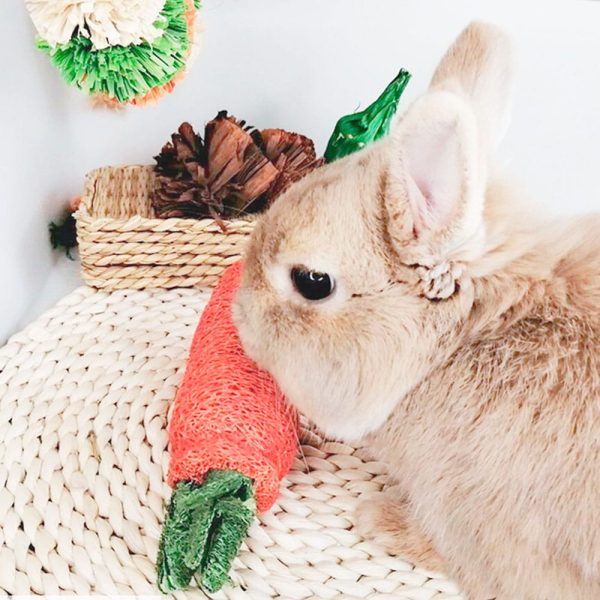 Carrot rabbit chew toy FlopBunny 5