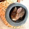 bunny bed with carrot design
