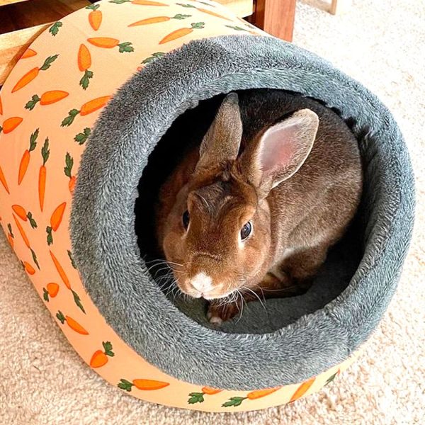 Bunny bed with carrot design FlopBunny 9