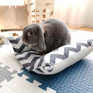 bunny bed - rabbit bed