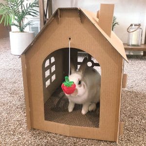 Bunny cardboard castle