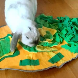 Forage mat for rabbits