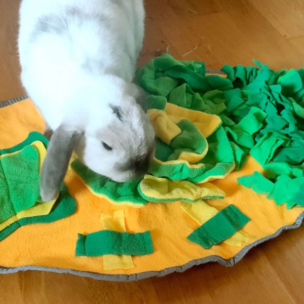 Forage mat for rabbits FlopBunny 3