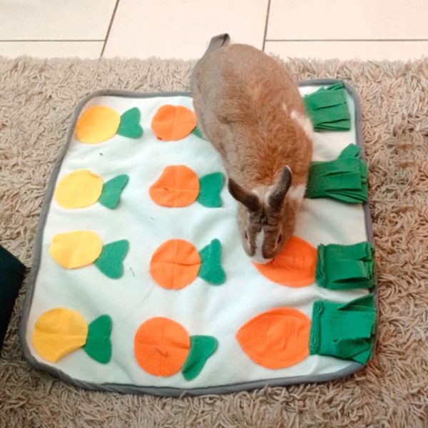 Forage mats for rabbits FlopBunny 3